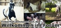 Tinkerhof-Sonnenschein.de Foren-bersicht