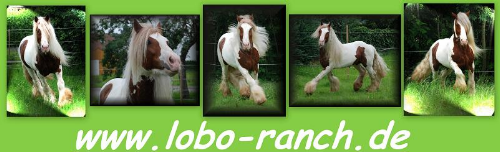 Lobo Ranch